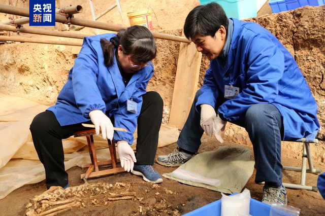 考古学家确认汉文帝霸陵出现“进口宝马”