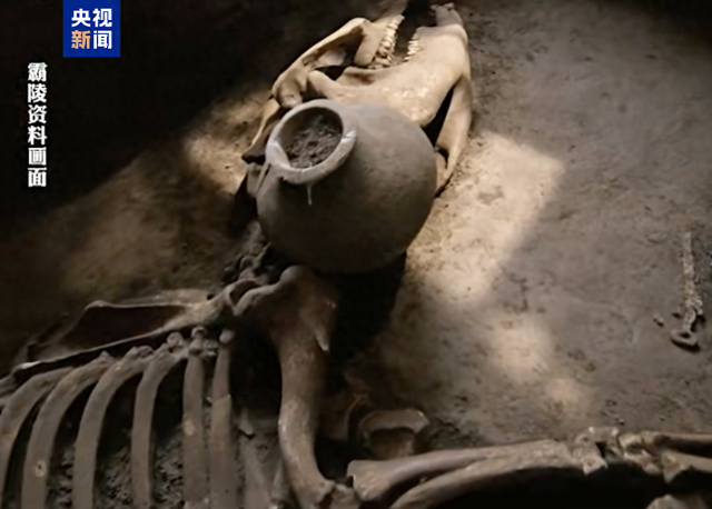 考古学家确认汉文帝霸陵出现“进口宝马”