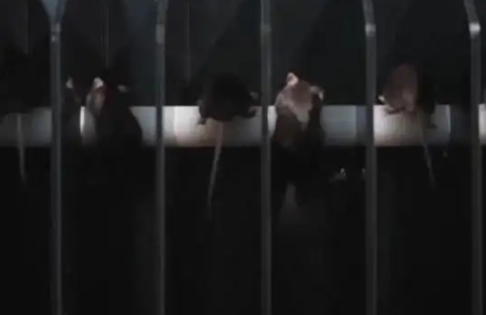 美企急交B计划,转头一看:中国航天工程又有突破