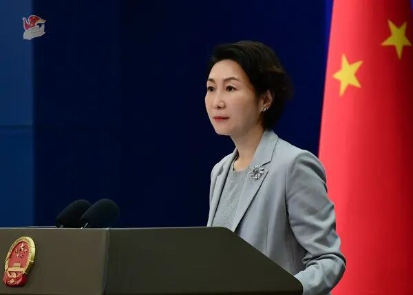 外交部：中方不得不投下弃权票