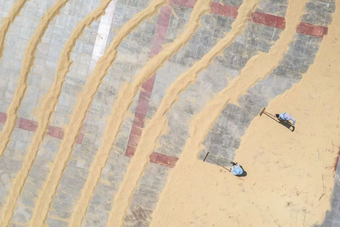 记者暗访多次被拒，亮明身份后对方态度变了，一些乡镇政府为何“门难进”？