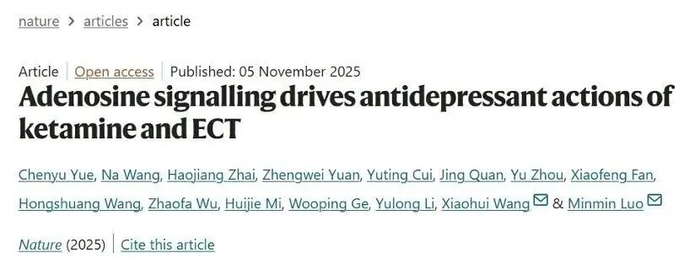 事关抑郁症治疗，重大发现！