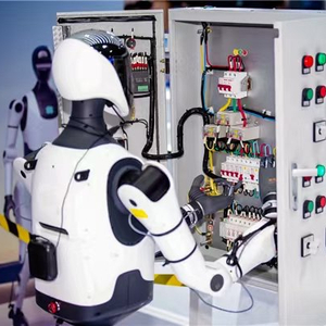 拒绝第三方赚差价,机器人企业转向二次开发