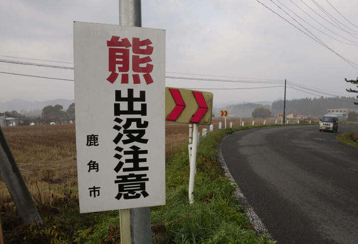日本“熊出没”已致13人身亡,创历史新高