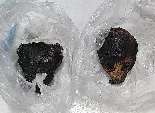 昆明海关所属瑞丽海关查获蜂猴制品105克