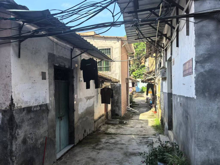 以“爱”为名的毒杀