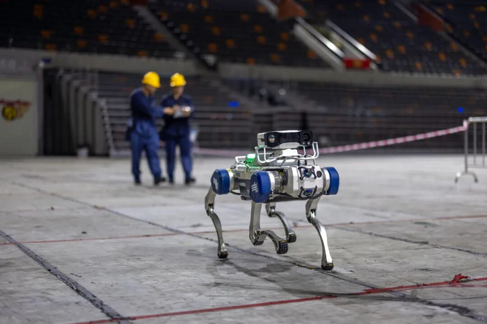 全运落幕，但这些“C位”值得被记住