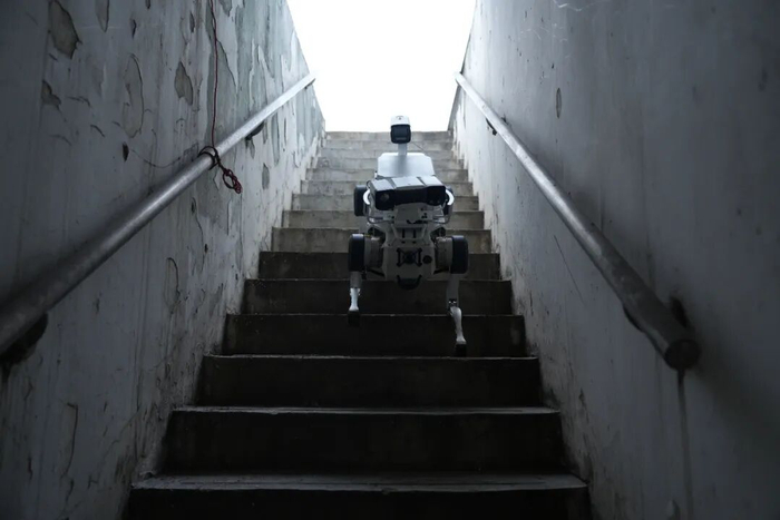 全运落幕，但这些“C位”值得被记住