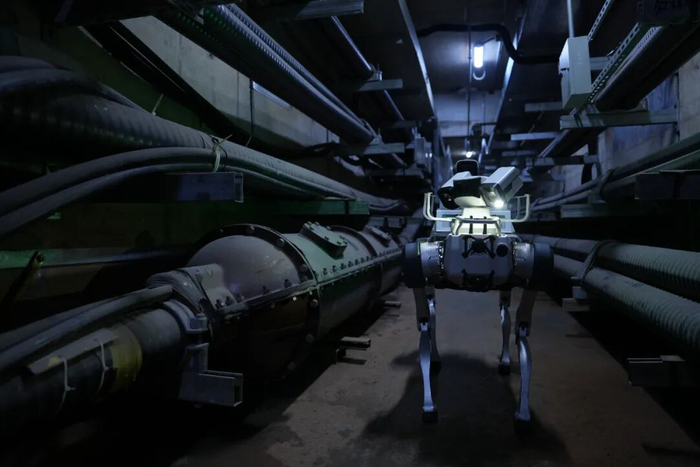 全运落幕，但这些“C位”值得被记住