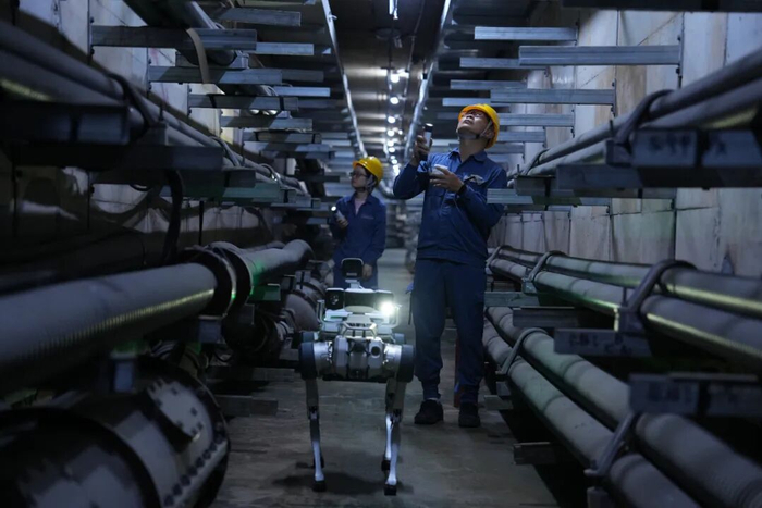 全运落幕，但这些“C位”值得被记住