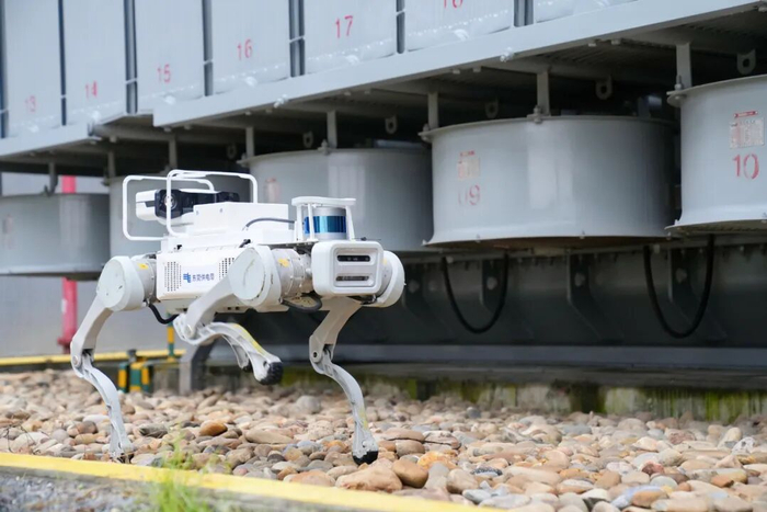 全运落幕，但这些“C位”值得被记住