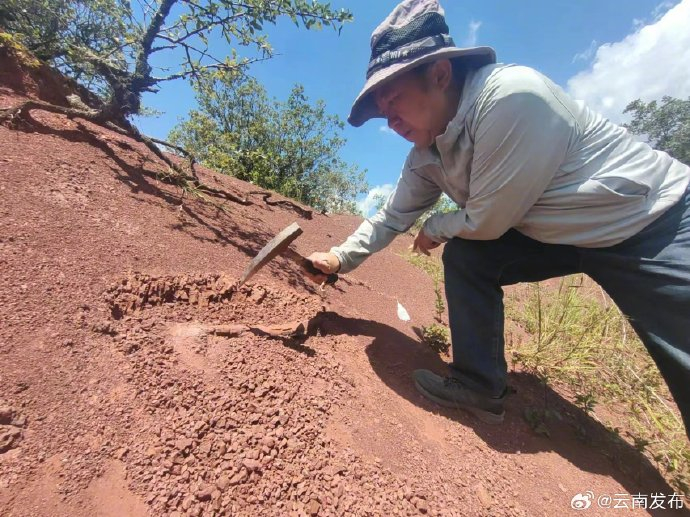 早讯：村民用了多年的垫脚石竟是恐龙化石 实时讯息 第1张
