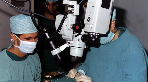 叙利亚政权更迭一年后，英媒曝阿萨德有意在俄继续从事眼科工作