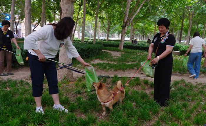 媒体：不仅罚款还要拘留，法律“拴紧”遛狗绳