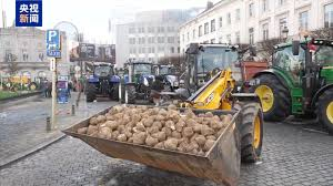 拖拉机围城记，欧盟27国农民“硬核逼宫”？