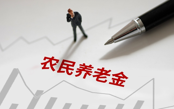 媒体：提高农民养老金，不能只靠个人缴费“抬上限”