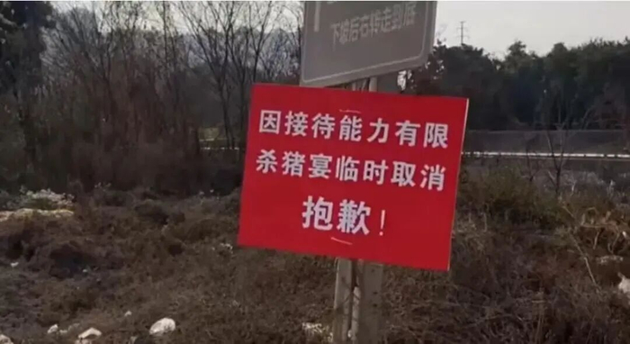 多场“刨猪宴”，临时取消