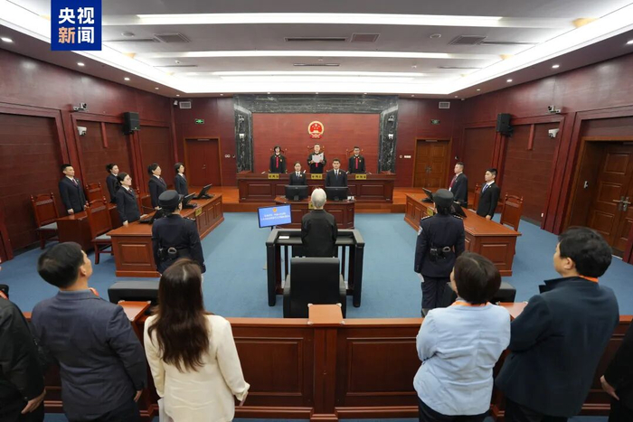 李微微被判无期，满头白发出庭受审