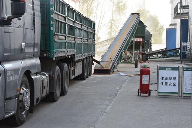 中储粮完成2025年中晚稻最低收购价收购工作