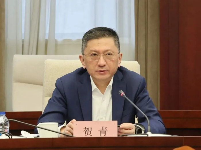 贺青，升任上海市副市长