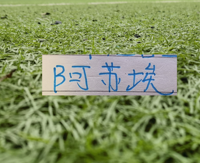 申花客场对阵石家庄功夫比赛画面