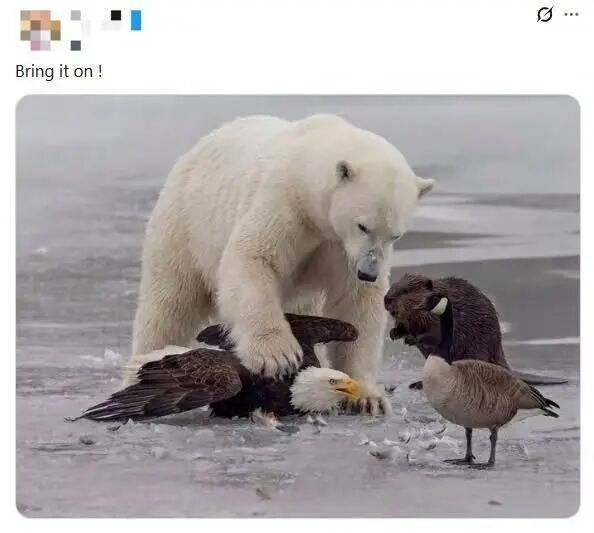 图片来源：网友评论截图