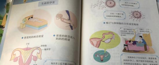 《珍爱生命》中对怀孕、生产过程的描绘,被不少网友认为“过于直白”。