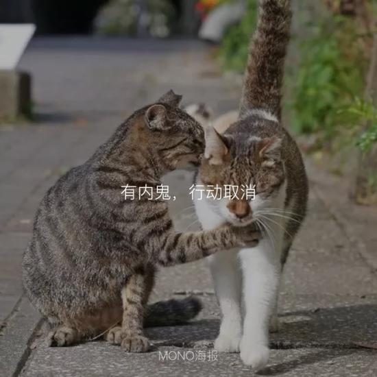 囧哥:陌生人观察奥迪车主进出时间偷偷错峰用车，称为满足虚荣心