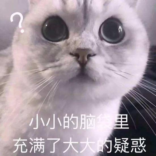 囧哥:“猩球崛起”来啦！日本动物园猴子竟打开门集体逃跑了