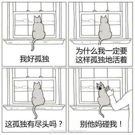 囧哥:年度自黑！拼多多赞助了央视节目，节目叫《是真的吗？》