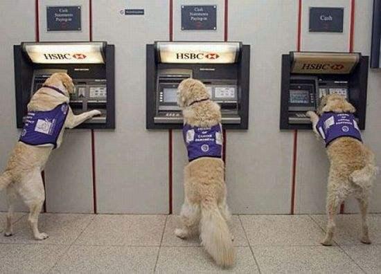 囧哥：发财了!美国ATM错误吐钞2小时,银行:不用还了
