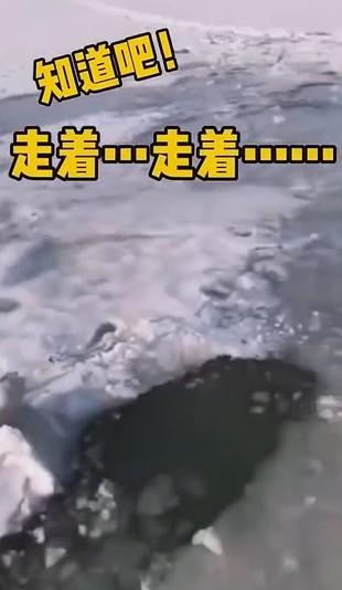 囧哥:可可爱爱！网友偶遇野生大熊猫国道上散步