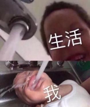 囧哥:“谁劝都不好使！” 路口惊现两头牛决斗