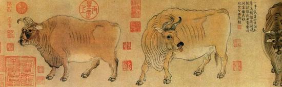 《五牛图》局部