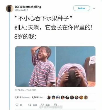 囧哥:近狗者汪！鹦鹉和狗混 会狗叫还会看家护院