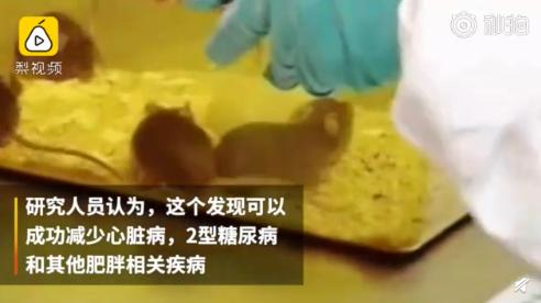 囧哥:同一个世界同一个梦想!俄罗斯小学生求救路人“我不想上学”