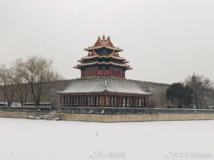 囧哥:过鱼年？锦鲤成中国新年标配 歪果仁误会了