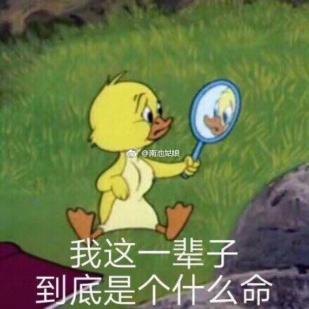 囧哥:史诗级指点江山！网友批古风歌词狗屁不通 词作李清照