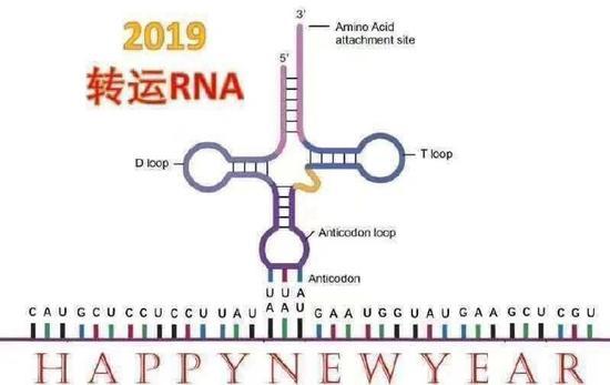 囧哥:跨年夜最大乌龙！10亿观众看直播“新年快乐2018”