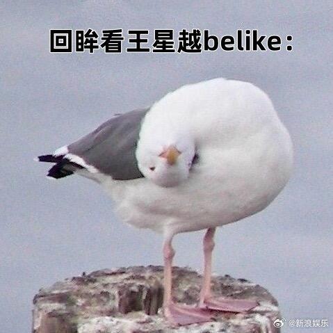 王星越隔595天回应阿乐：爱想抱