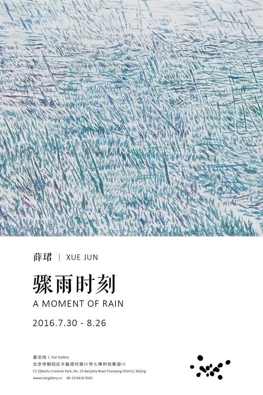 薛珺:骤雨时刻海报