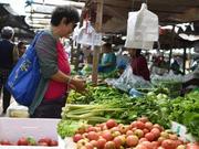 食品价格上涨推高5月CPI 专家：全年通胀温和可控