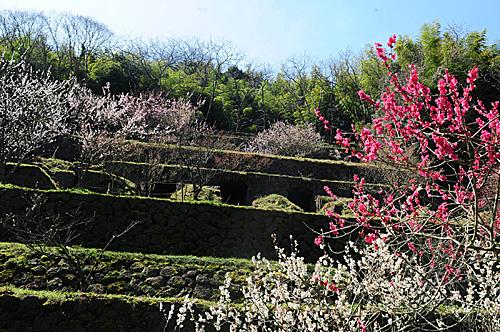 日本岛根县“石见银山”清水谷冶炼所遗址(新华社)