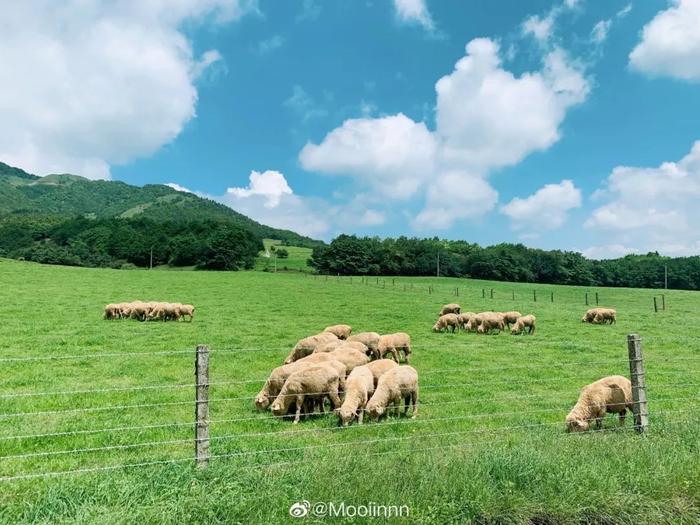 渝昆高铁云南段11个站点选址曝光！一站一景，有你想去的地方吗？