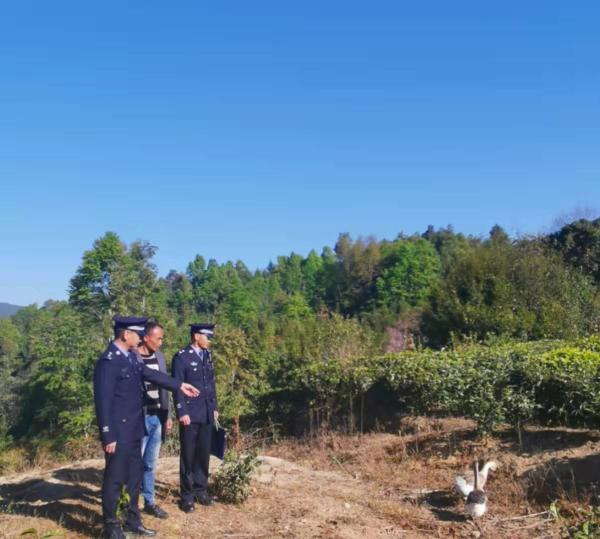 高黎贡山下 “狗鹅护卫队”帮助贫困户脱贫