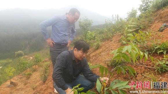 福建林职学院助力科特派成果辐射“百村、千户、万人”