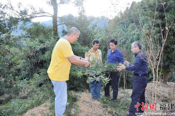 福建林职学院助力科特派成果辐射“百村、千户、万人”