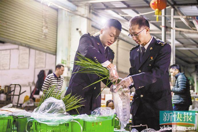 从珠海菜园子到澳门居民菜篮子