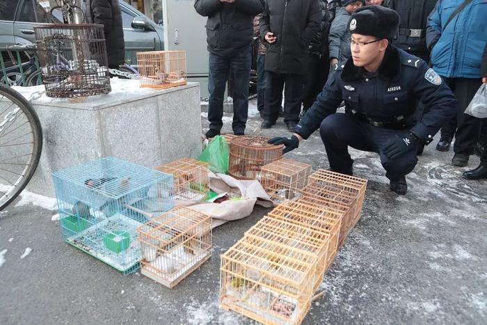 【重磅】拘捕6 人！哈尔滨警方严打非法捕猎野生动物