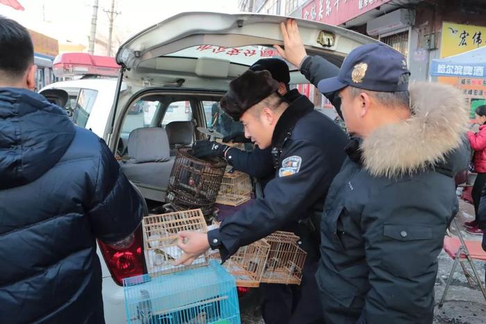 【重磅】拘捕6 人！哈尔滨警方严打非法捕猎野生动物